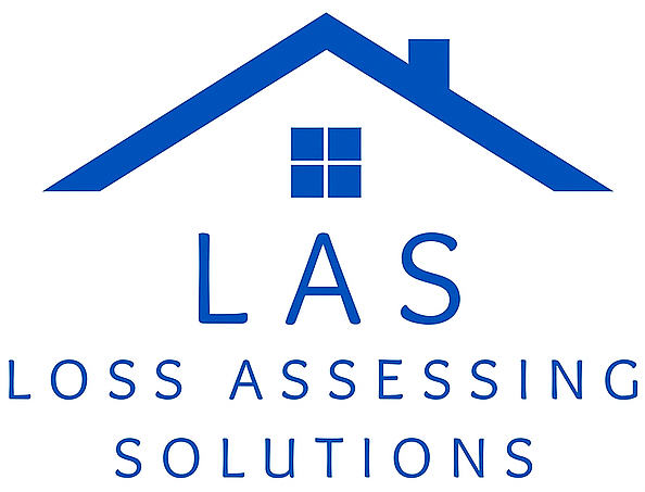 Loss Assessing Solutions Logo